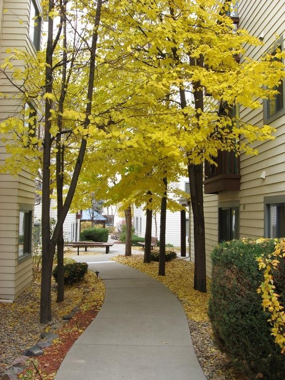 The Commons Hotel & Suites - Denver Tech Center إنجليوود المظهر الخارجي الصورة